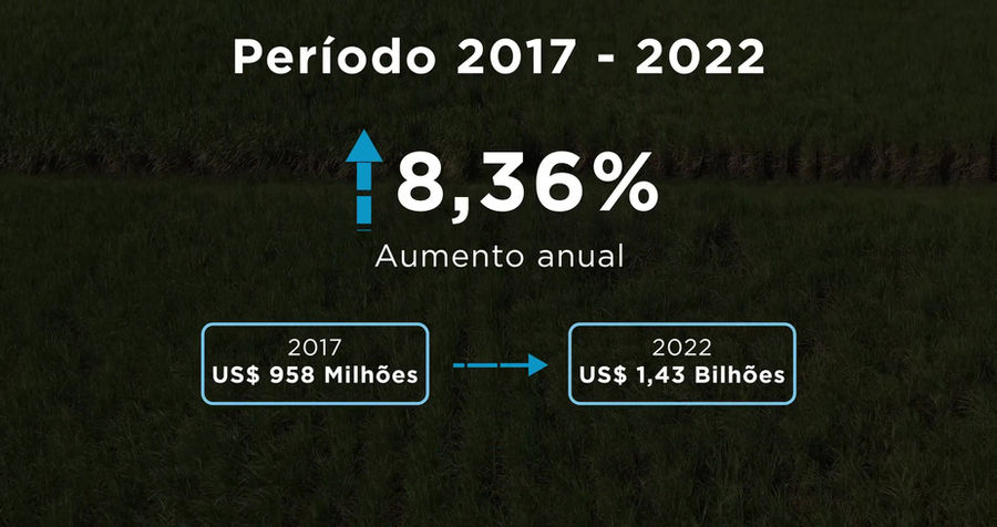 Consulta EFTA-Mercosul